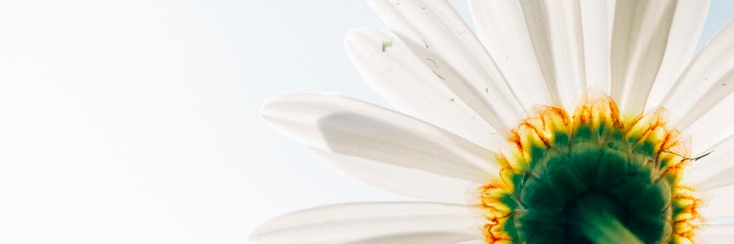 DigitalMarche's profile banner image