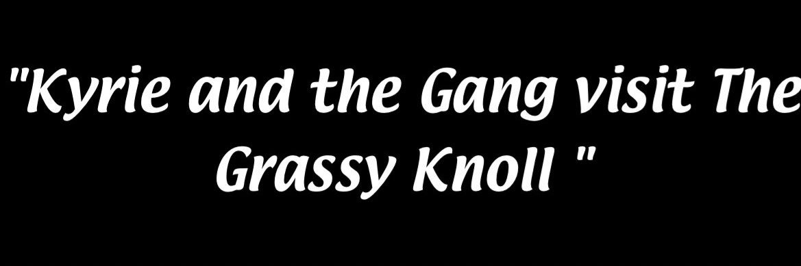 Lou Sasswhol, M.D. banner