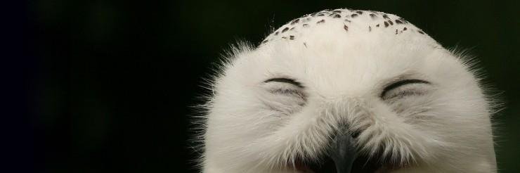 MilvydasM's profile banner image