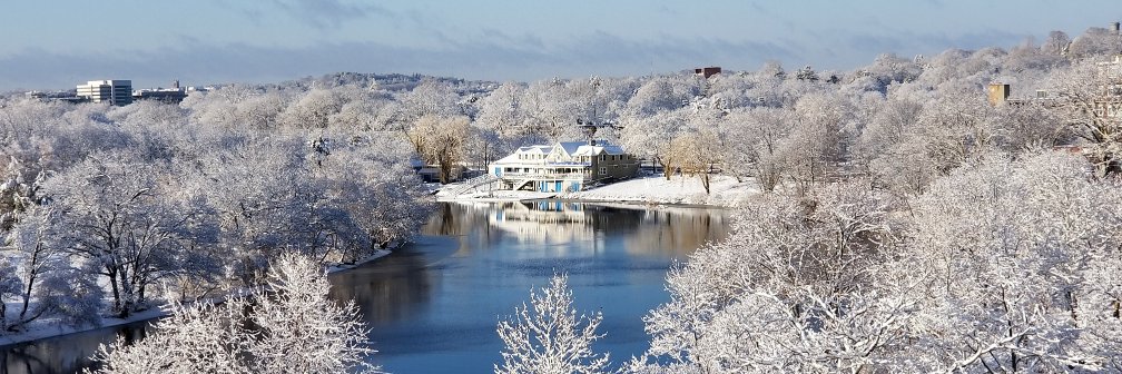 DC Working Girl 2.0 (ginnieroth on threads) banner