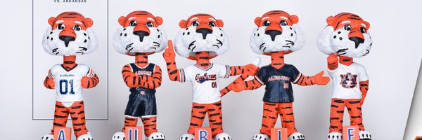 minnebama Profile Banner