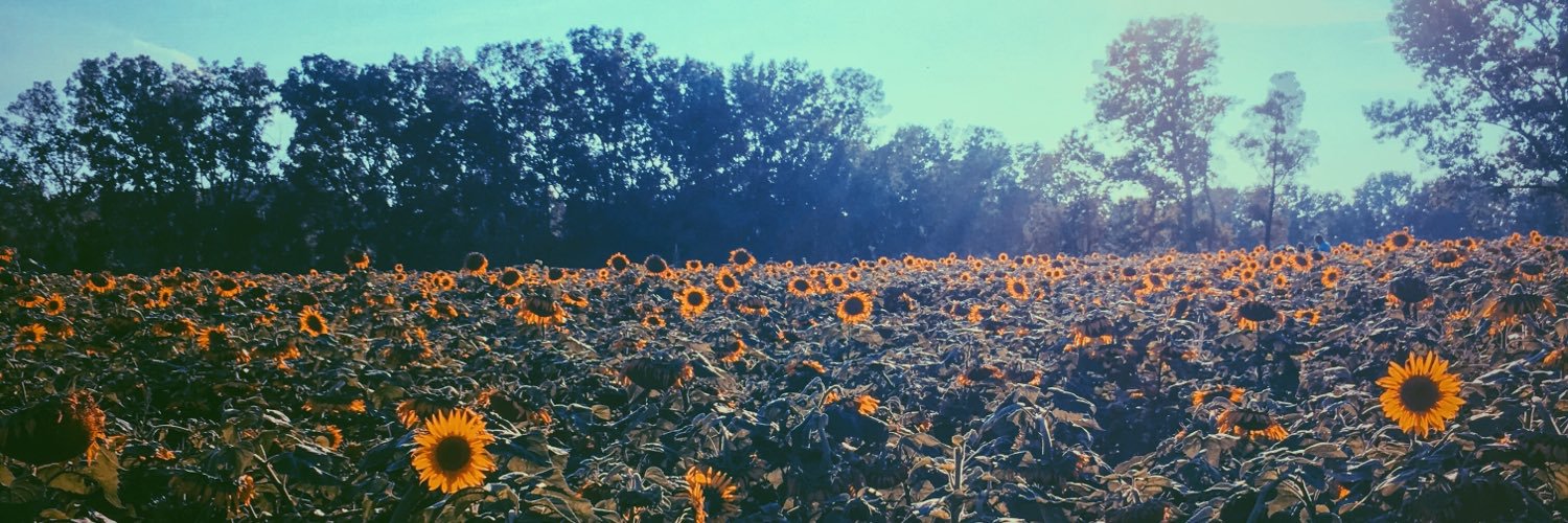 EmilyIles21's profile banner image