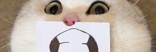 Grégory Sévin banner