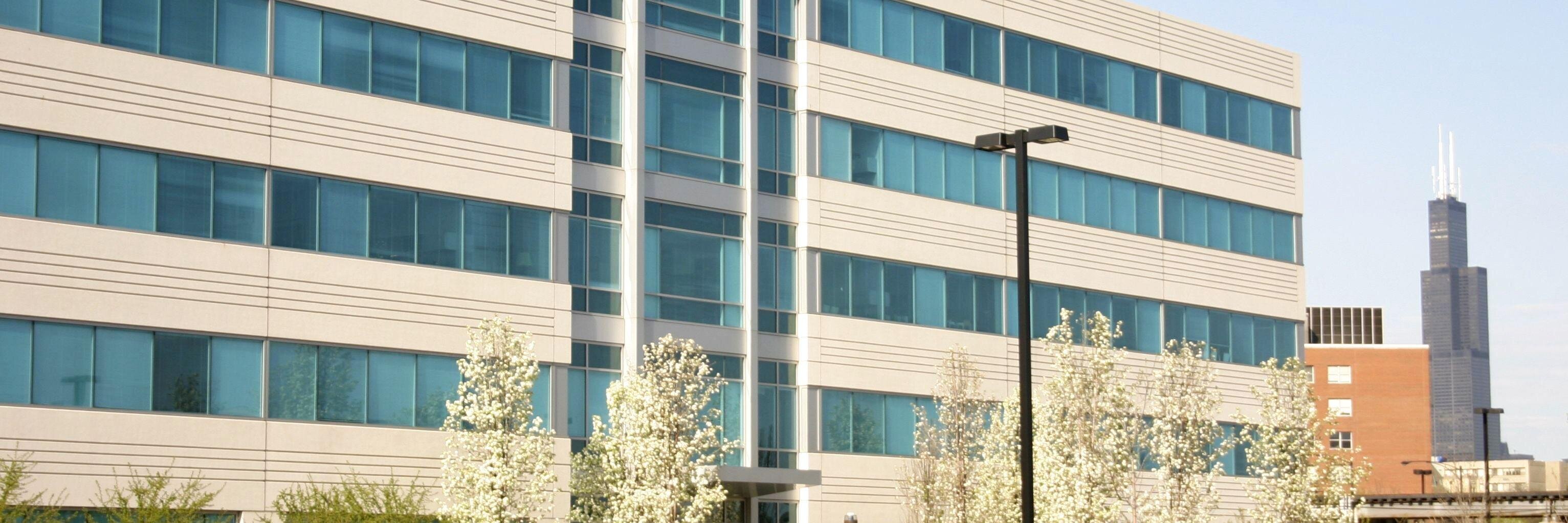 UIC IHRP banner