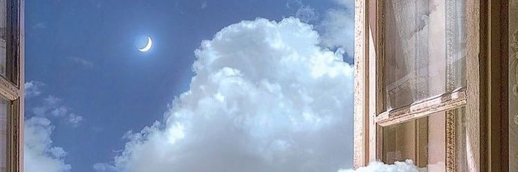 alycejustyne's profile banner image