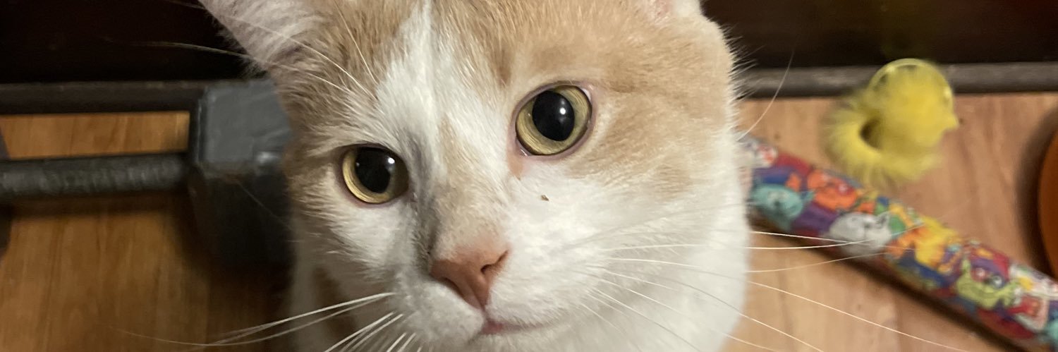 Cellz_ETH's profile banner image