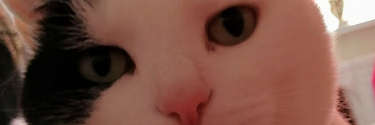 DawnAngel10's profile banner image