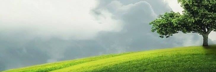 iearuna's profile banner image