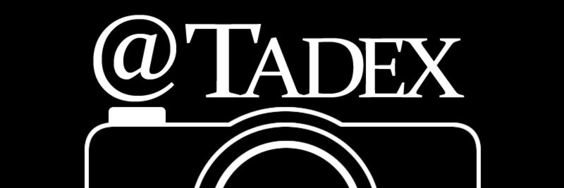 Tadeo Guerra | tadex.eth banner