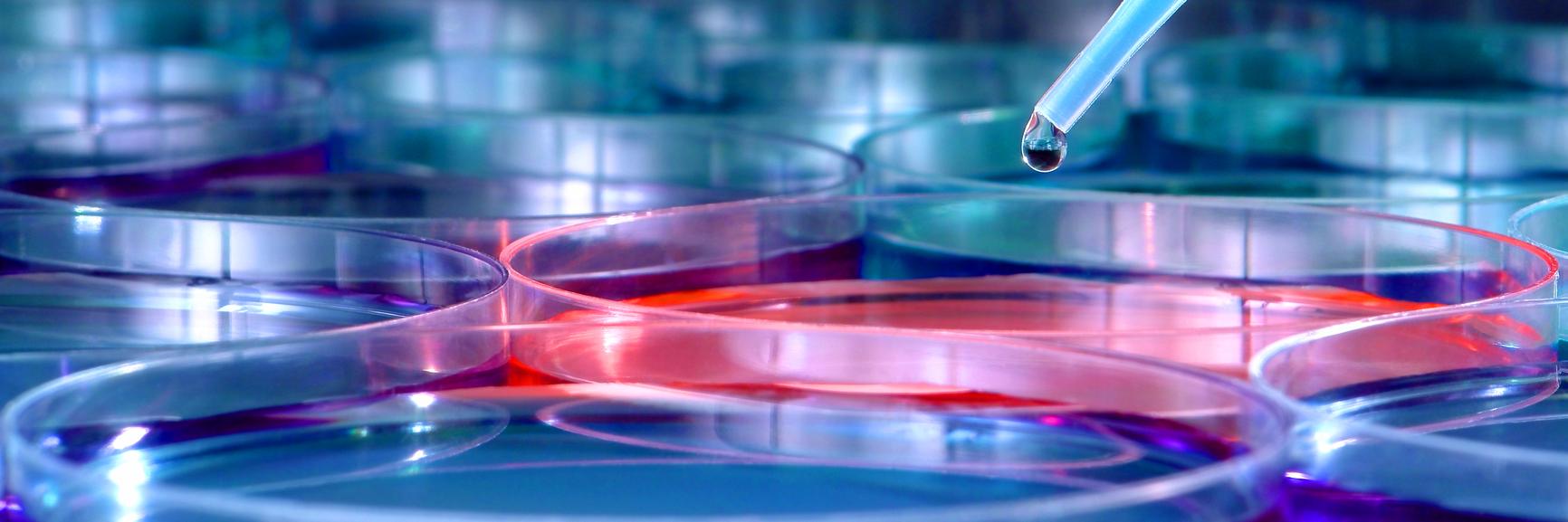 TaylorSci's profile banner image