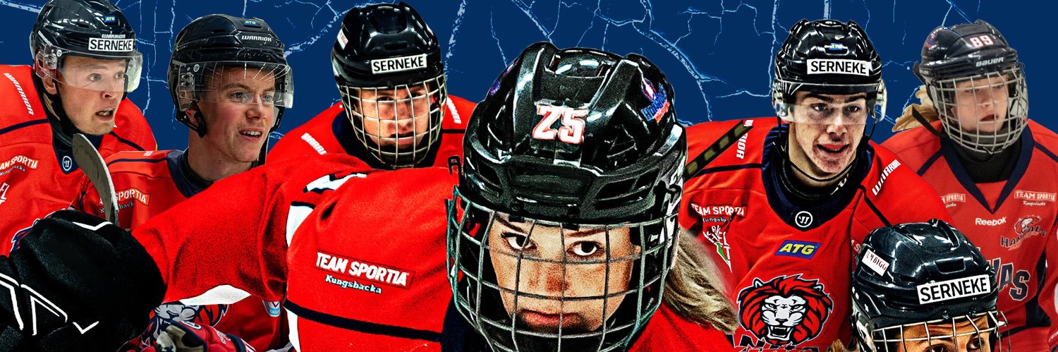 Hanhals Kings banner