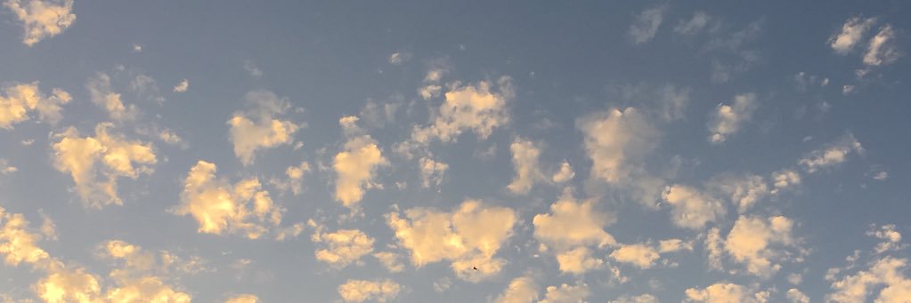 mr_lapiad's profile banner image