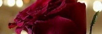 Wpga3P's profile banner image
