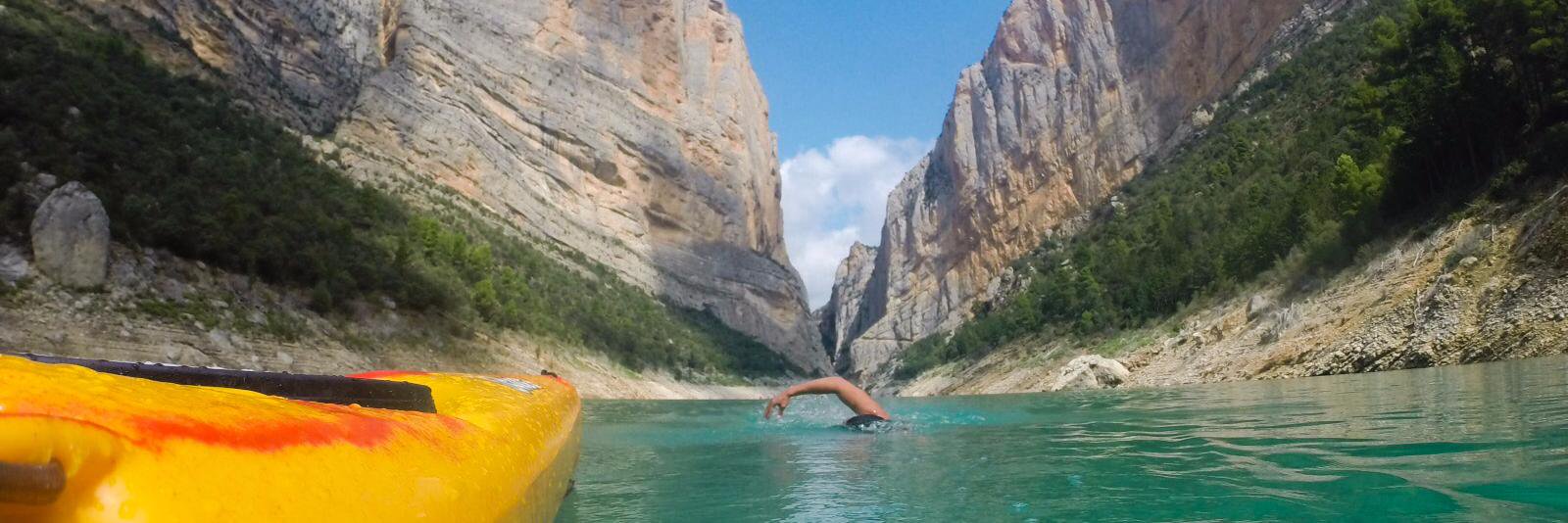 Gerard Alemany banner