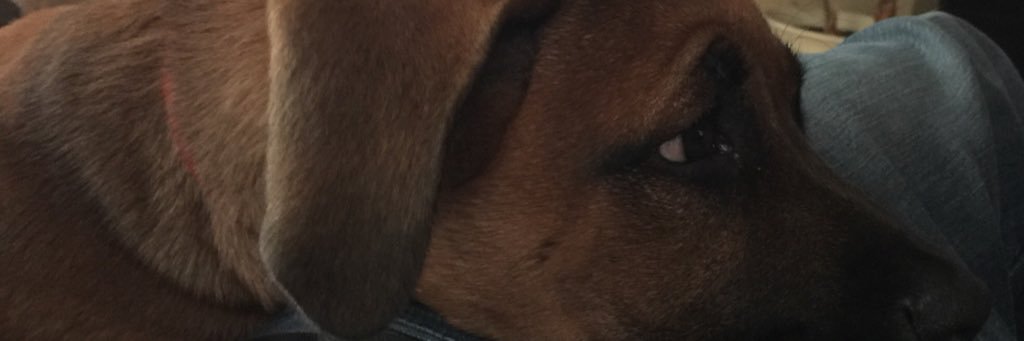 _LordSensei's profile banner image