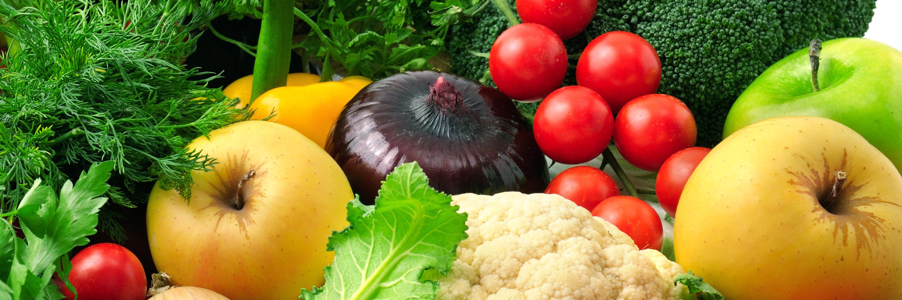 Maria Petzel RD CSO banner