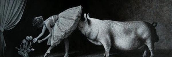 EXPECTRIOTS Profile Banner