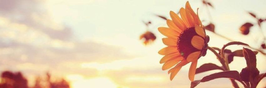 spatterson95's profile banner image