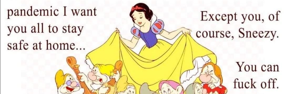 Maggswoody's profile banner image