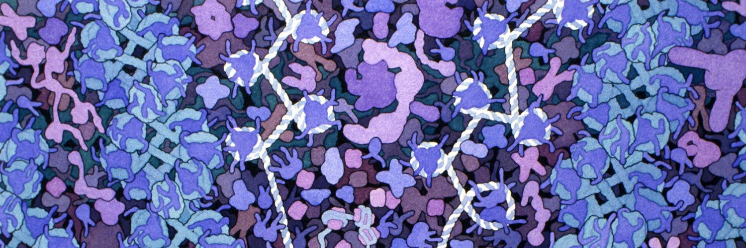 Jon1Lang's profile banner image
