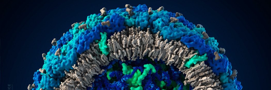 Visual Science banner