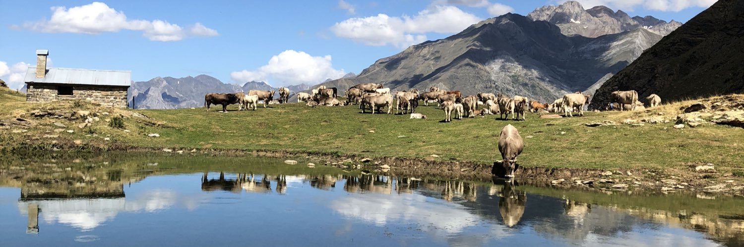 Josep Dadón Paz banner