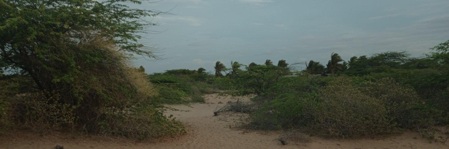 guajirito40's profile banner image