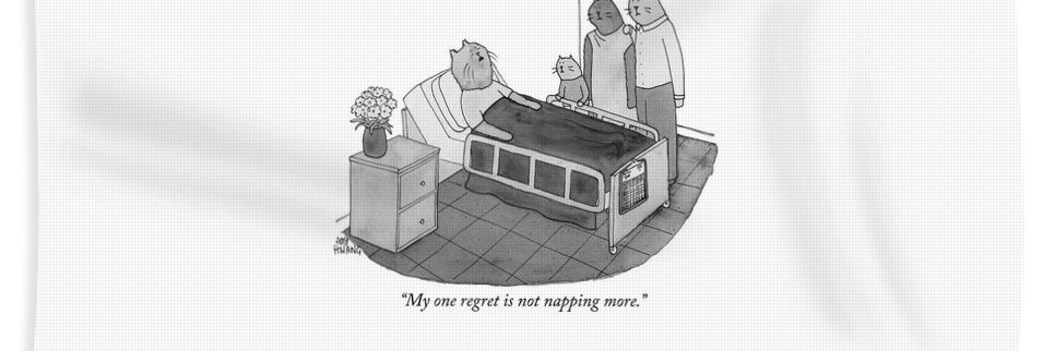 Adelyn Baxter banner