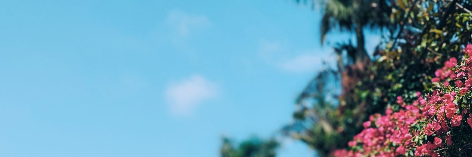 Balkan Zen Master banner