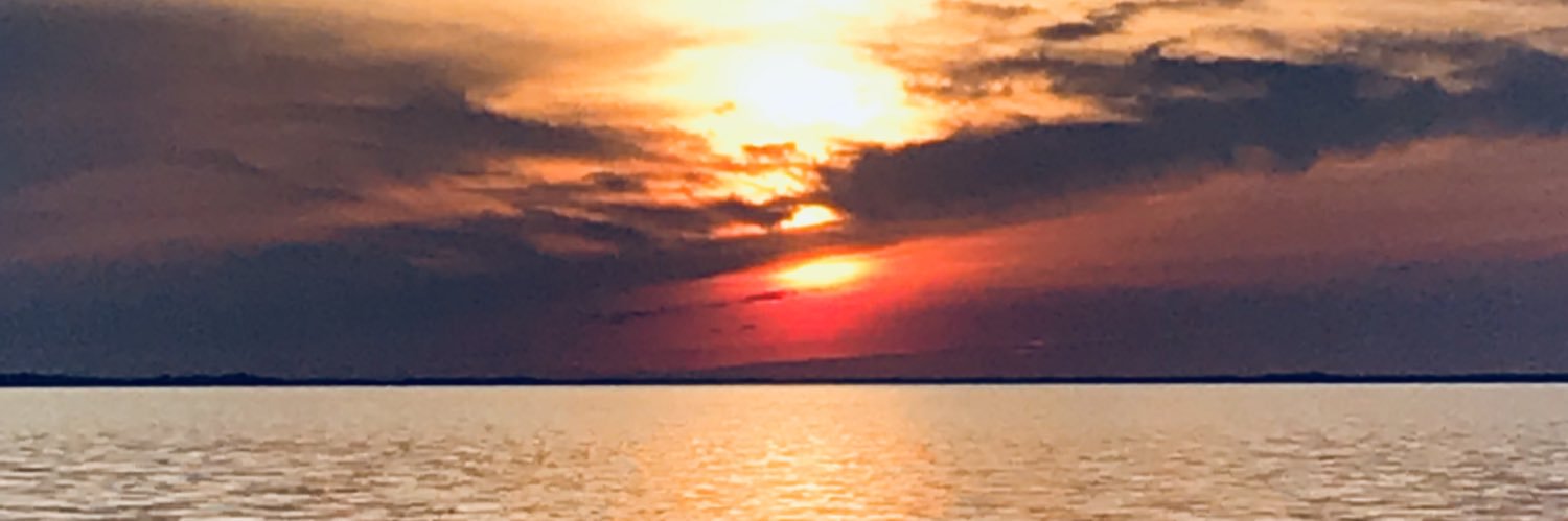 cjortrga's profile banner image