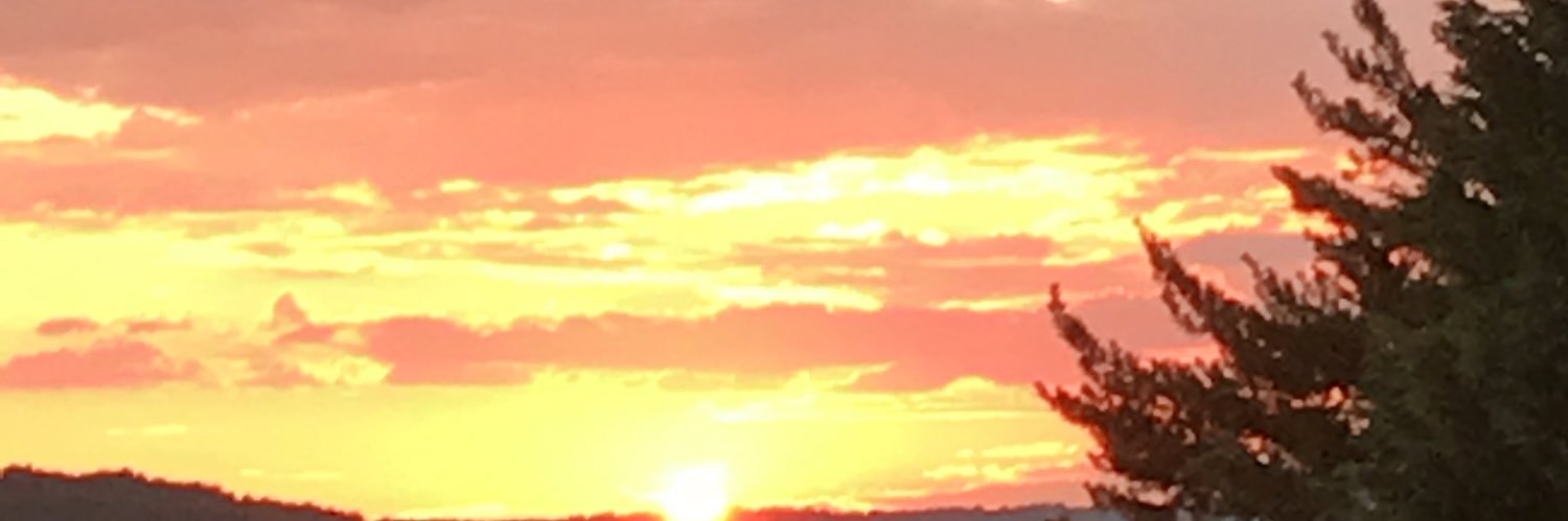hipkip's profile banner image
