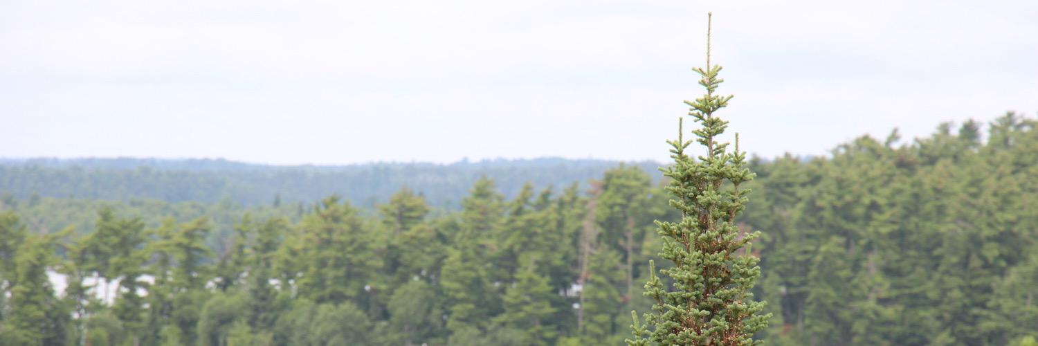 HoferJacob's profile banner image