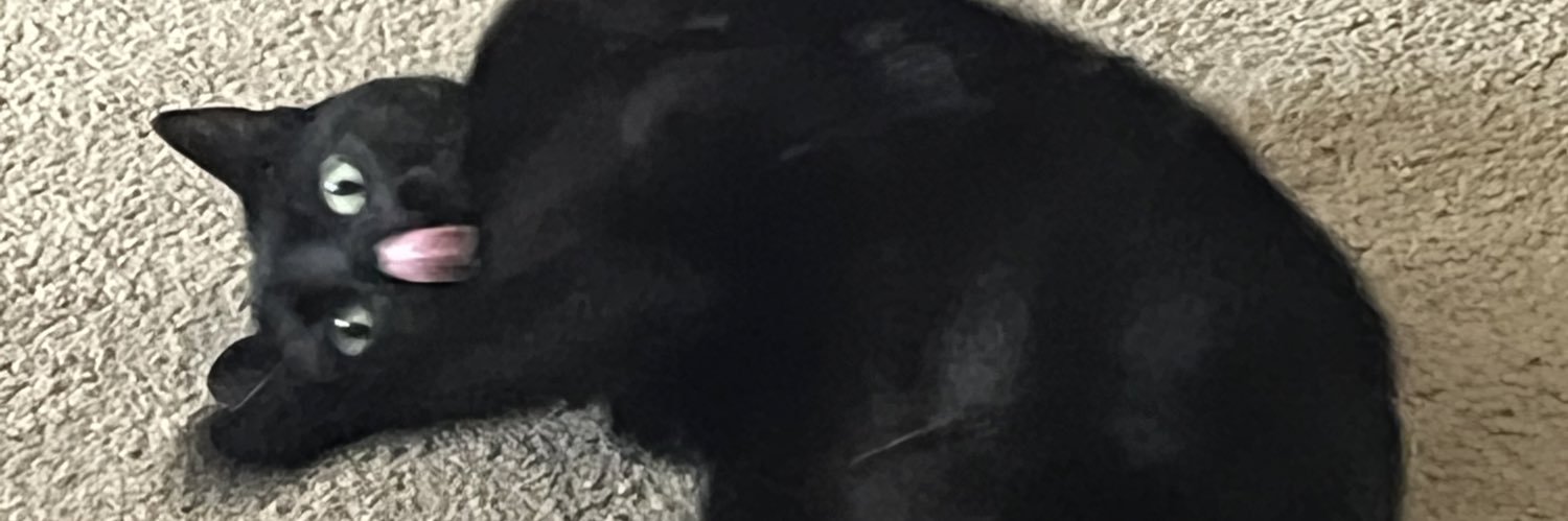 Crowned_Artist's profile banner image