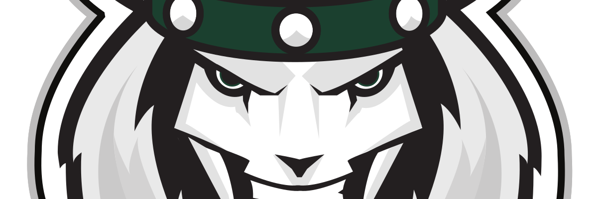 Woodstock Slammers banner