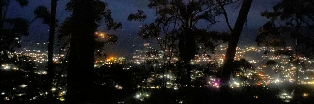 mizzy_23's profile banner image