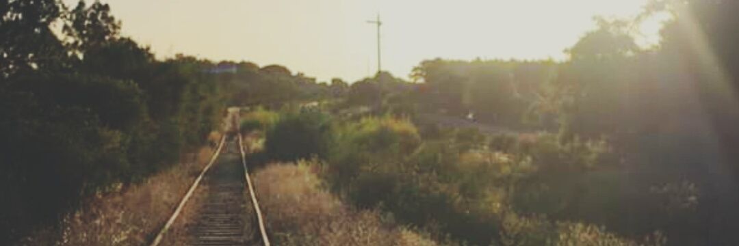 dreamerach's profile banner image