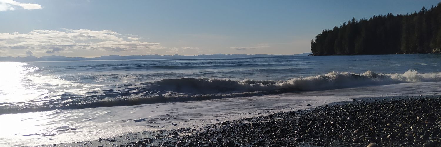 Ronan McDermott banner