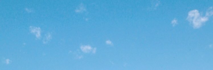 hannah 🐳 banner