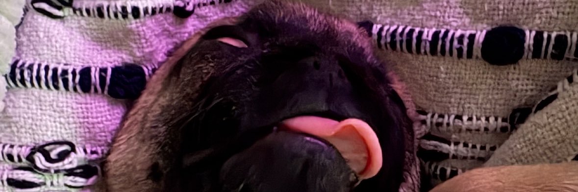 rsterstep's profile banner image