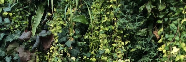 Gail_Em Profile Banner