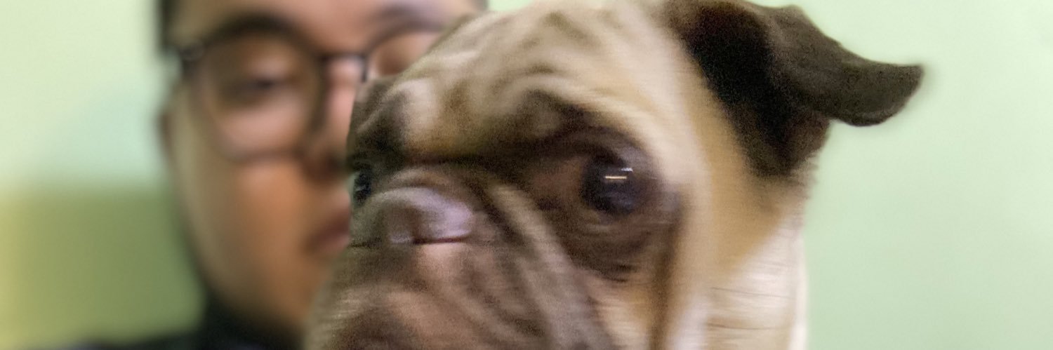 Crodo19's profile banner image