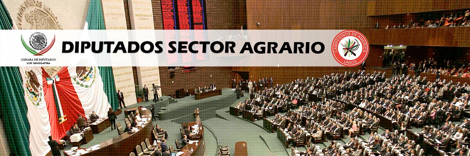 Dips Sector Agrario banner