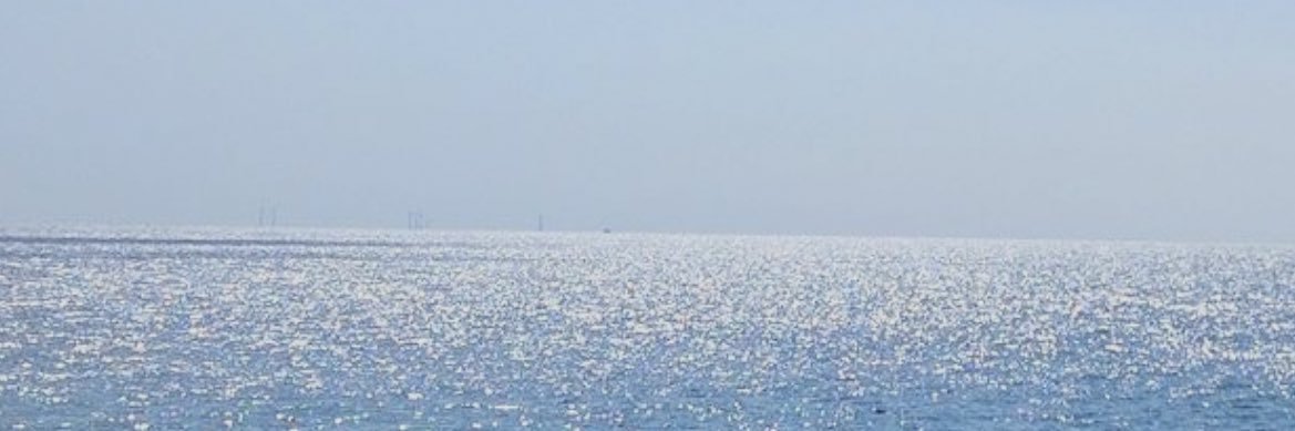 filippalicious banner