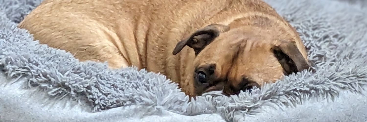 Bill 🟧 🌴 banner