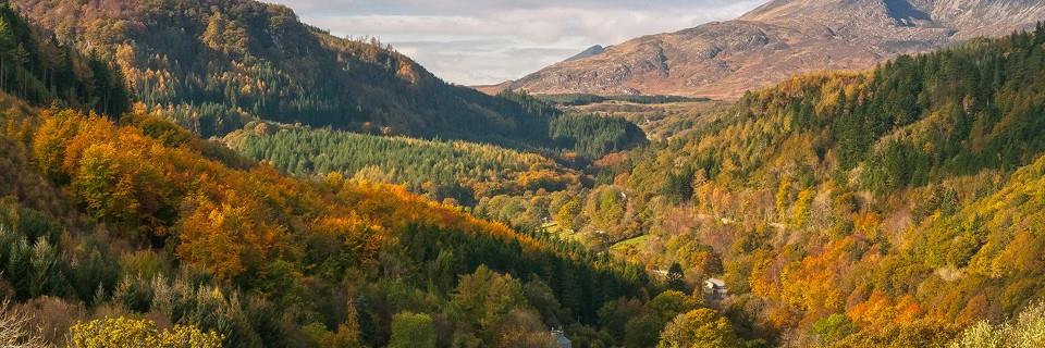 Visit Betws-y-coed banner