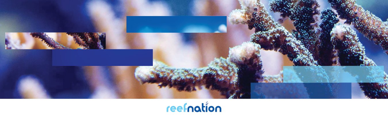 Reefnation's profile banner image