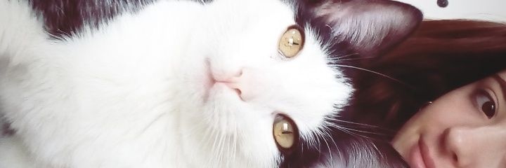 CamiLopez35's profile banner image