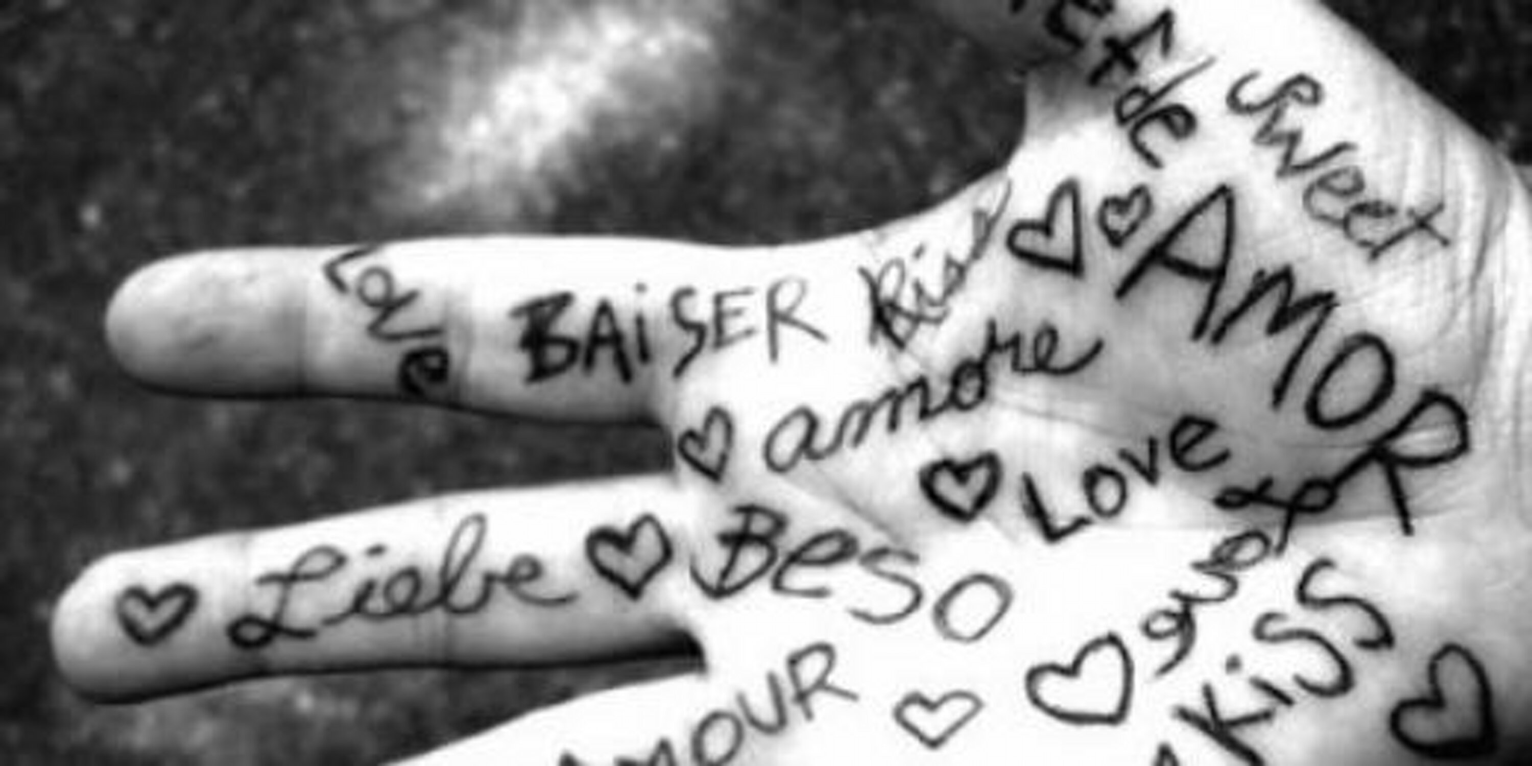 biboo39's profile banner image