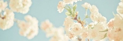 alynnwalt's profile banner image