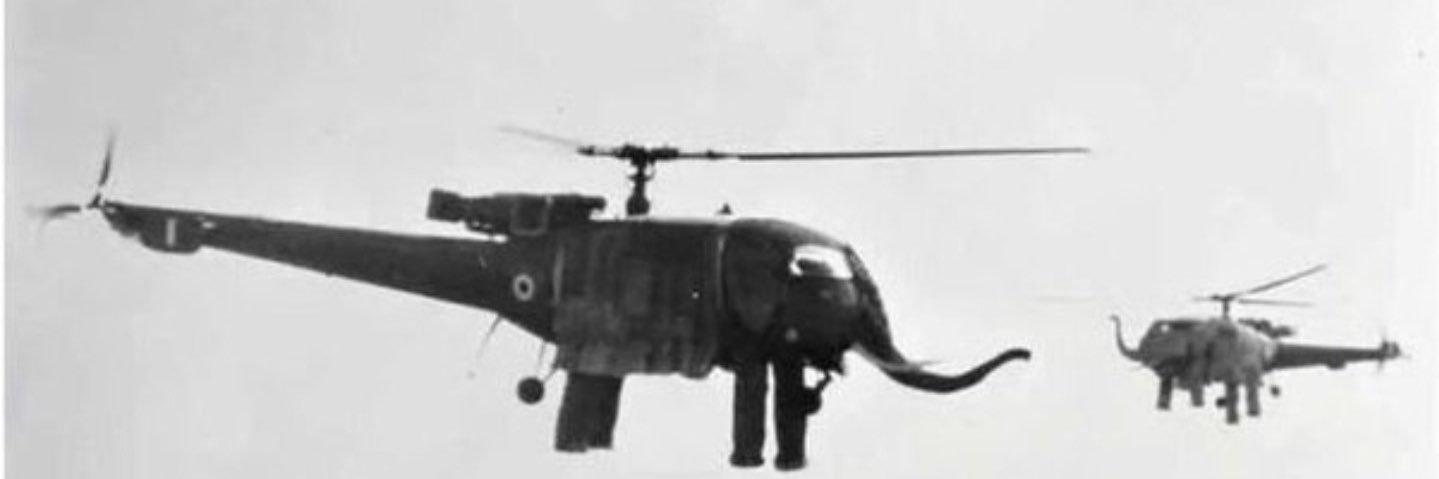 Wayne Seretis banner